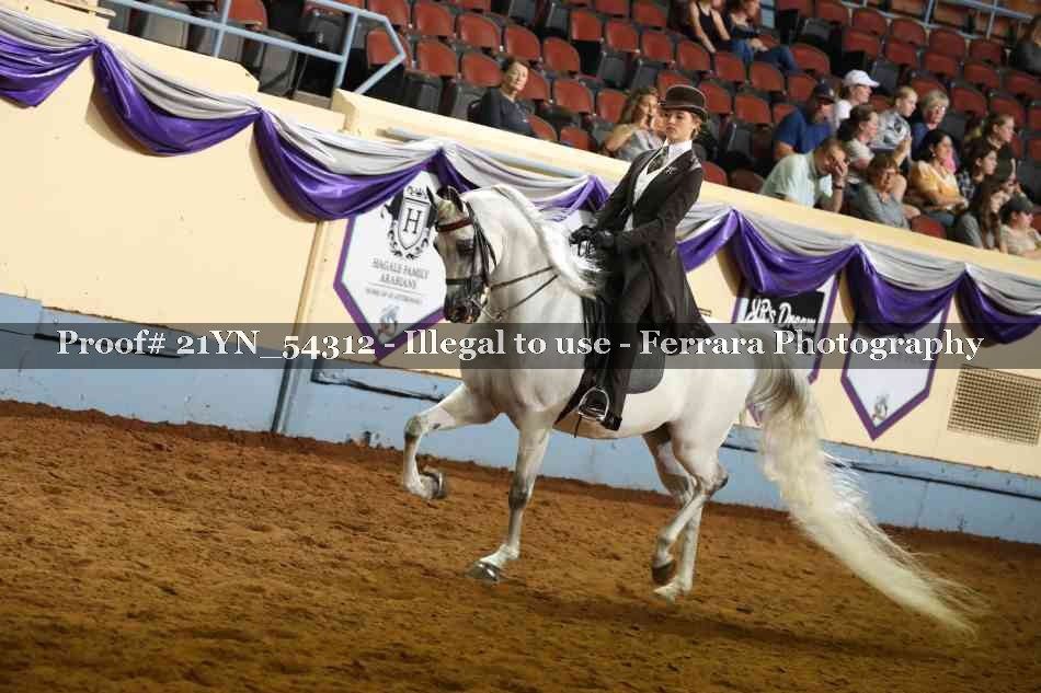Proof Number 21YN_54312