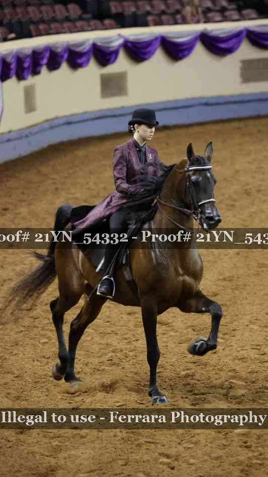 Proof Number 21YN_54332