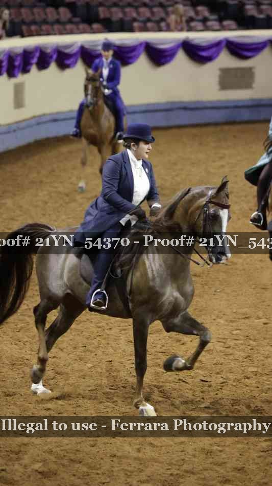 Proof Number 21YN_54370