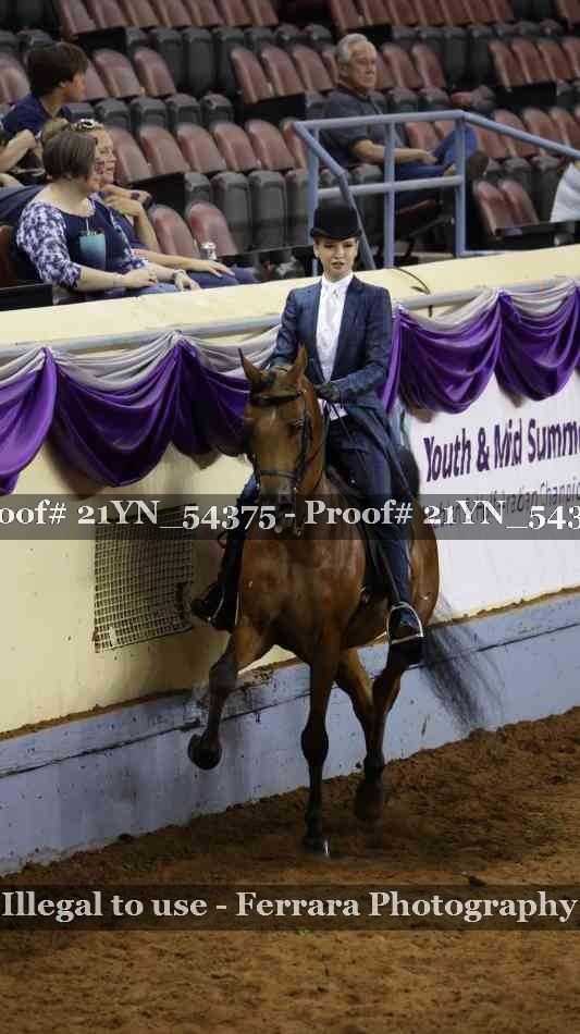 Proof Number 21YN_54375