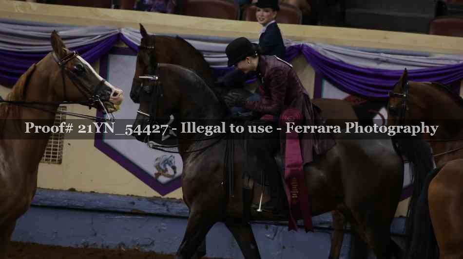 Proof Number 21YN_54427