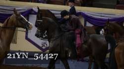 21YN_54427 thumbnail