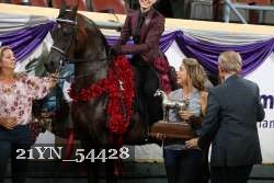 21YN_54428 thumbnail