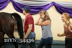 21YN_54436 thumbnail