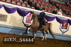 21YN_54444 thumbnail