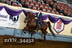 21YN_54452 thumbnail