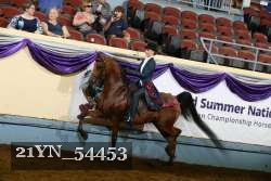 21YN_54453 thumbnail