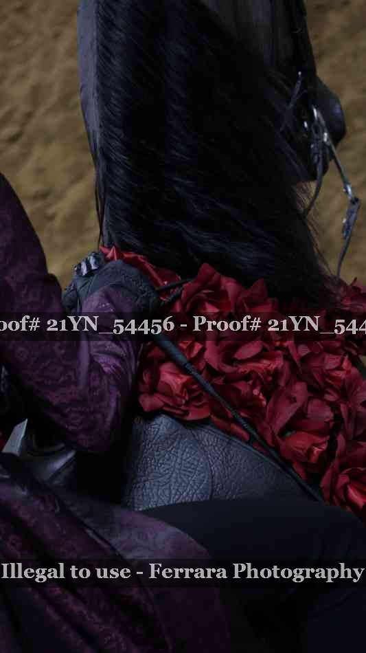 Proof Number 21YN_54456