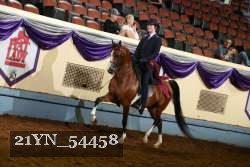 21YN_54458 thumbnail