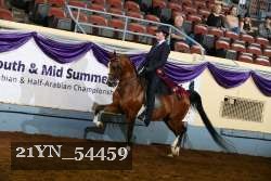 21YN_54459 thumbnail