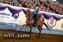 21YN_54464 thumbnail