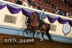 21YN_54468 thumbnail