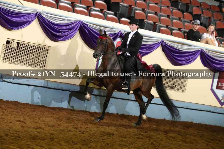 Proof Number 21YN_54474