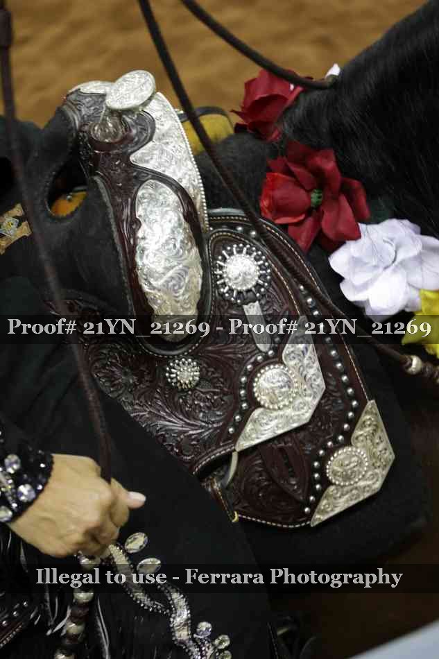 Proof Number 21YN_21269