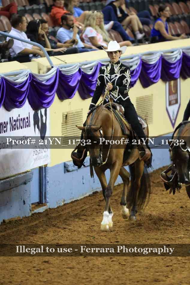 Proof Number 21YN_11732