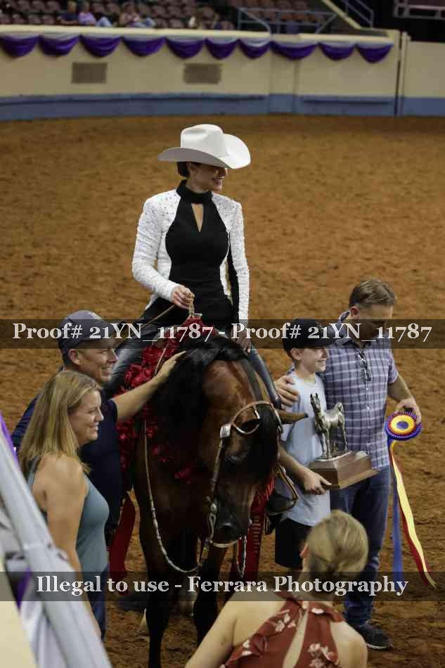 Proof Number 21YN_11787