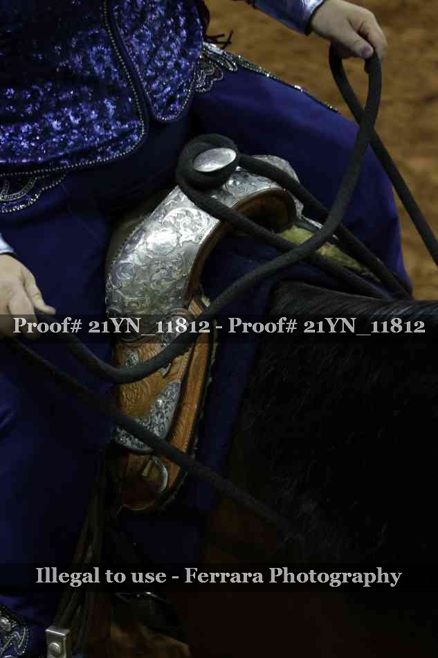 Proof Number 21YN_11812