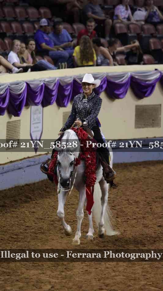 Proof Number 21YN_58528