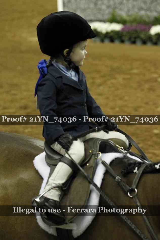 Proof Number 21YN_74036