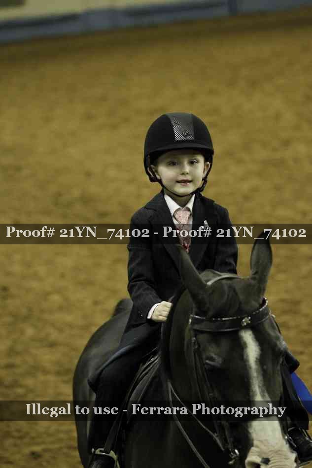 Proof Number 21YN_74102