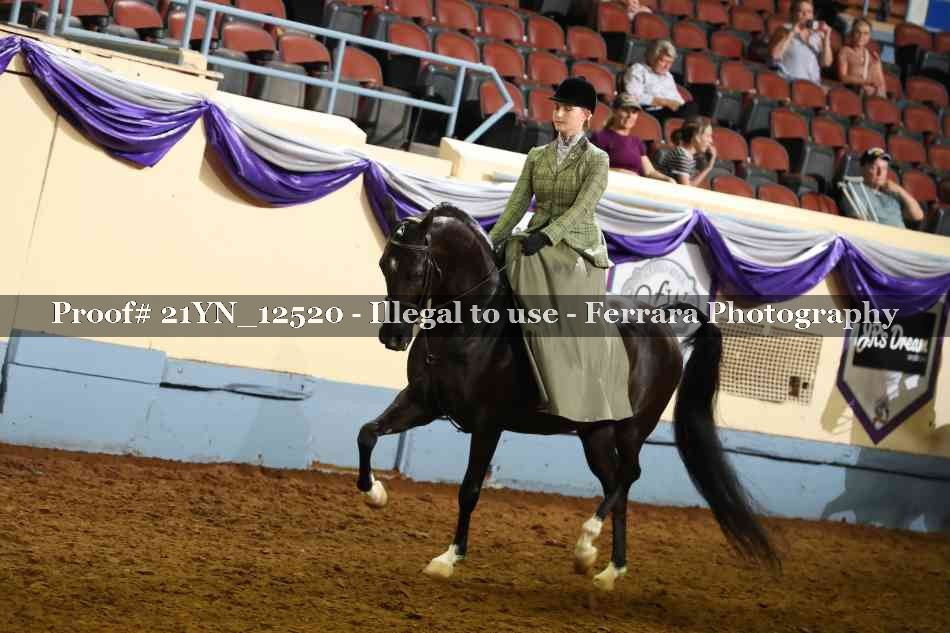 Proof Number 21YN_12520