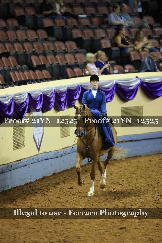 Proof Number 21YN_12525
