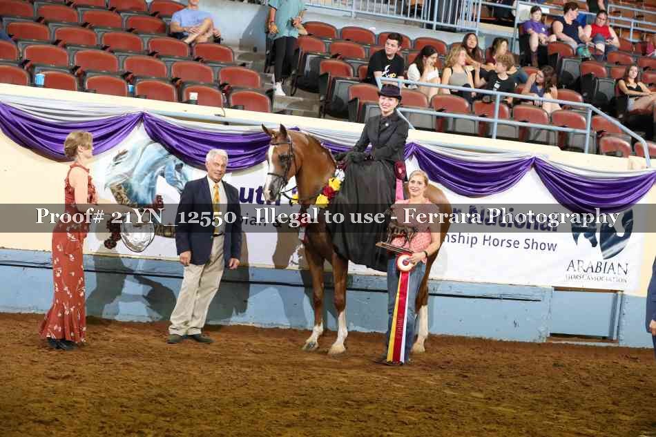 Proof Number 21YN_12550