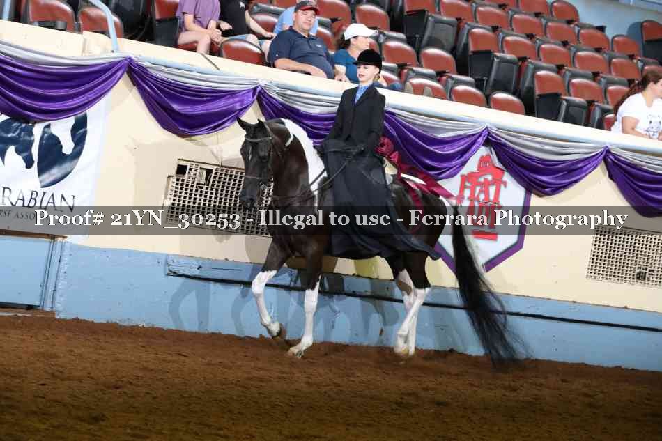 Proof Number 21YN_30253