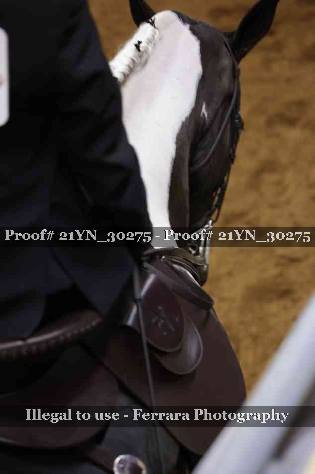 Proof Number 21YN_30275