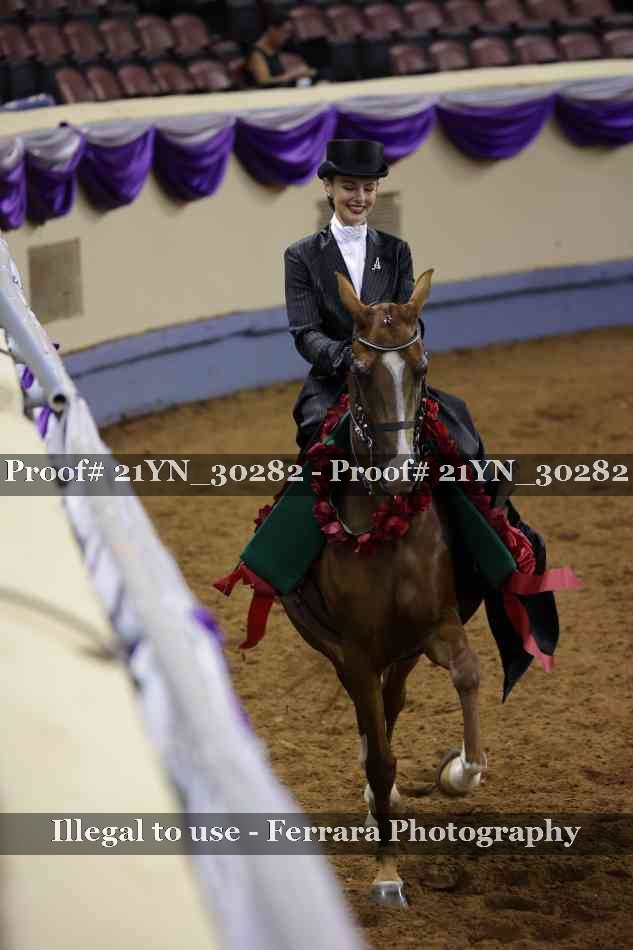 Proof Number 21YN_30282