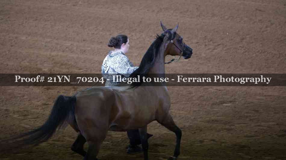 Proof Number 21YN_70204