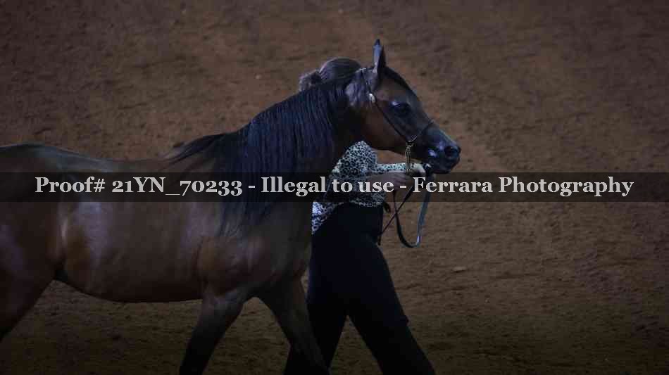 Proof Number 21YN_70233