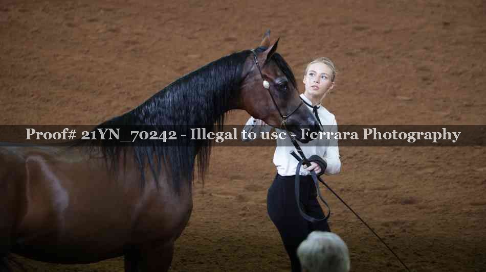 Proof Number 21YN_70242