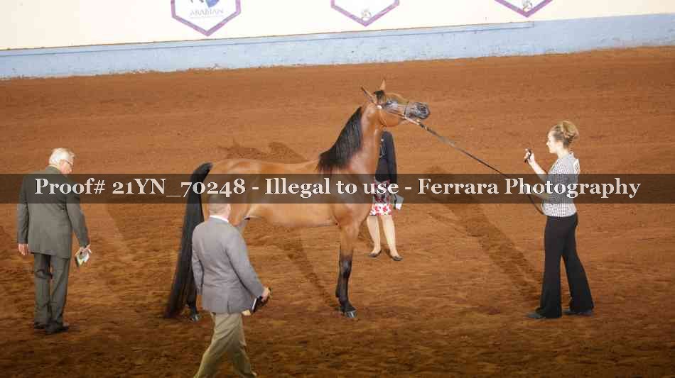 Proof Number 21YN_70248