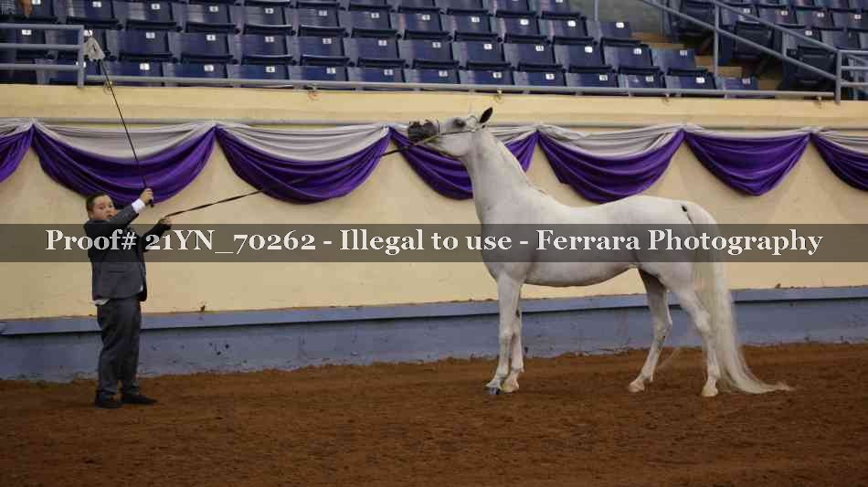 Proof Number 21YN_70262