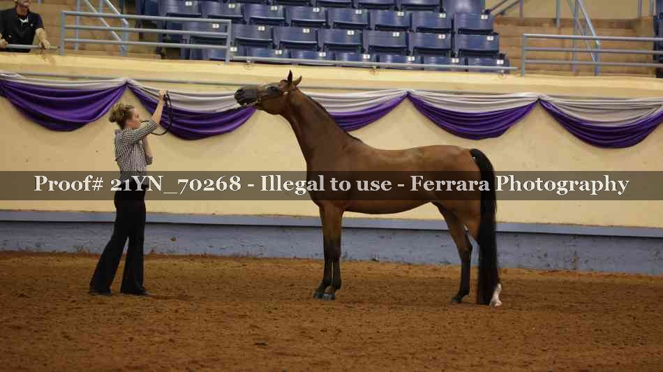 Proof Number 21YN_70268