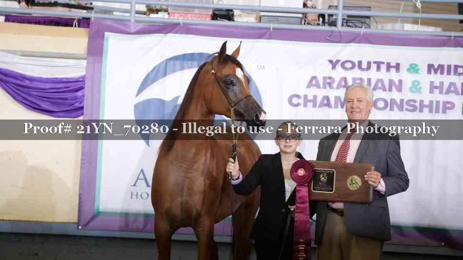 Proof Number 21YN_70280