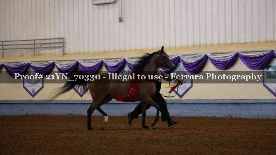 Proof Number 21YN_70330