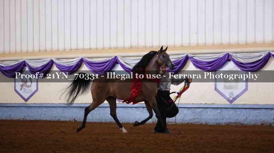 Proof Number 21YN_70331