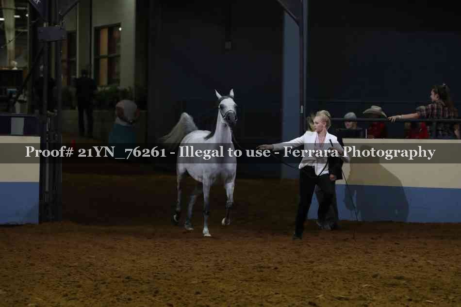 Proof Number 21YN_76261