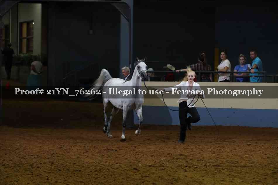 Proof Number 21YN_76262