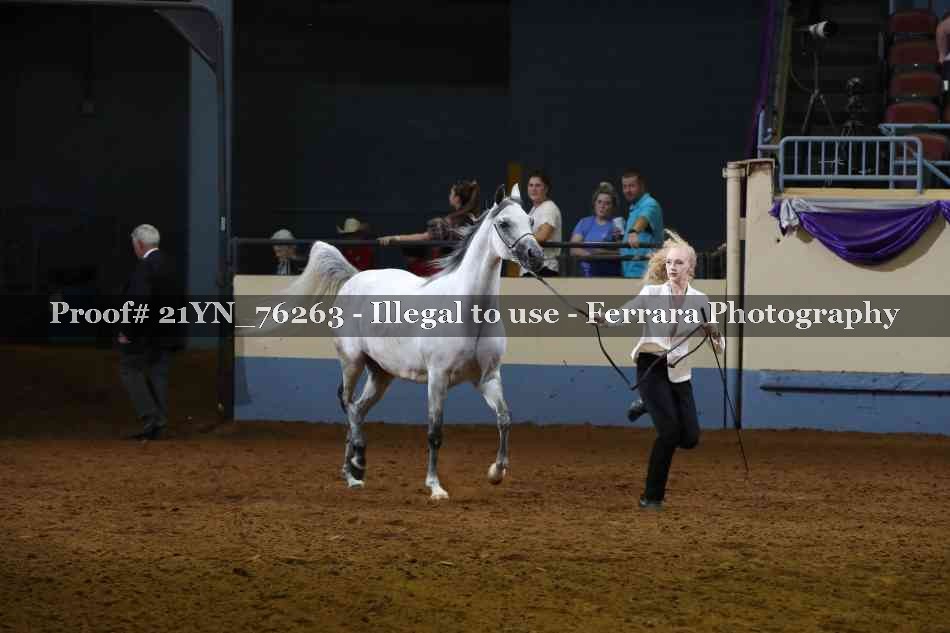 Proof Number 21YN_76263