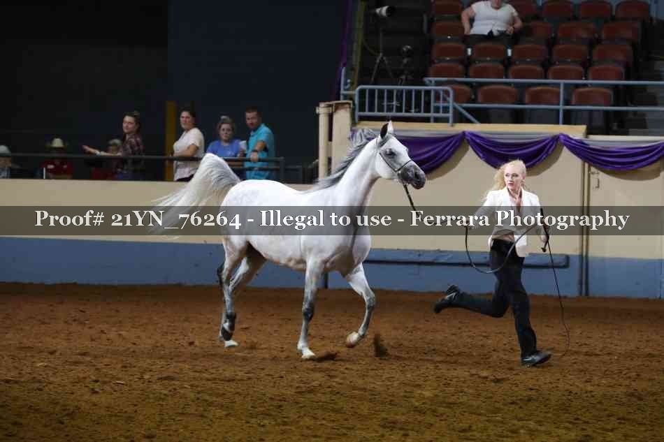 Proof Number 21YN_76264