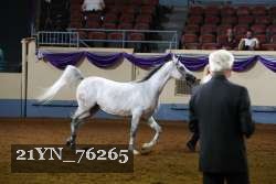 21YN_76265 thumbnail
