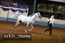 21YN_76269 thumbnail