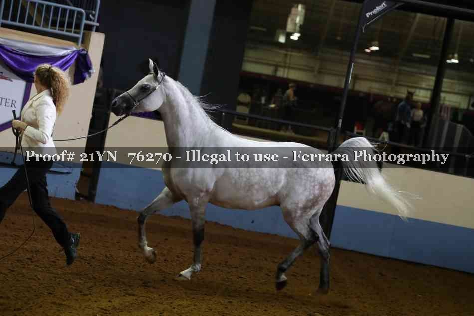 Proof Number 21YN_76270