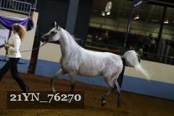 21YN_76270 thumbnail