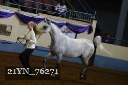 21YN_76271 thumbnail