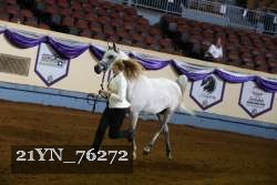 21YN_76272 thumbnail