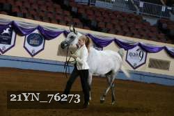 21YN_76273 thumbnail